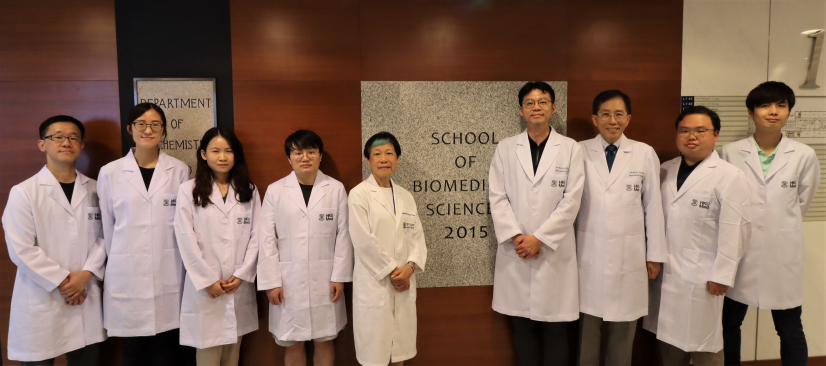 A research team from HKUMed has generated human neural stem cells with powerful therapeutic potential for the treatment of spinal cord injury that paves the way for new therapeutic opportunities. The research team members include: (from left) Wu Ming-hoi, Hui Man-ning, Feng Xianglan, Chen Yong-long, Professor Daisy Shum Kwok-yan, Dr Martin Cheung Chi-hang, Professor Chan Ying-shing, Dr Tam Kin-wai and Amos Lo Lok-hang.